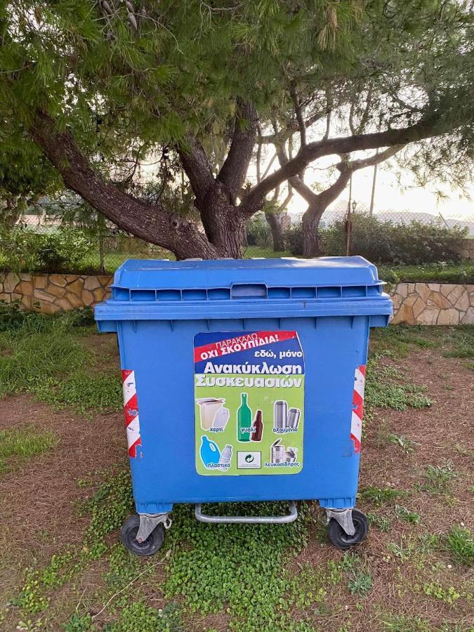 Stelios Studios Tragaki Exterior foto